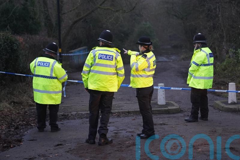 Boy, 12, fatally stabbed ‘as he walked home through country park’