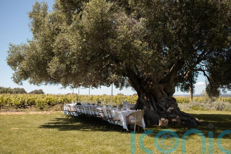 Why the Algarve is Europe’s most underrated culinary escape