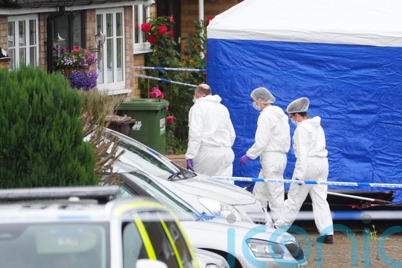 Man admits crossbow murders of ex-partner and sister and fatally stabbing mother
