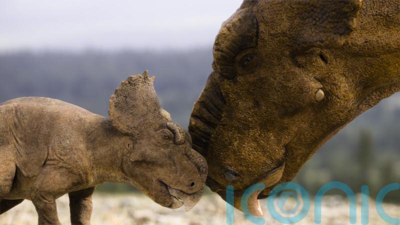 Adult and baby Pachyrhinosaurus in first look at BBC’s Walking With Dinosaurs