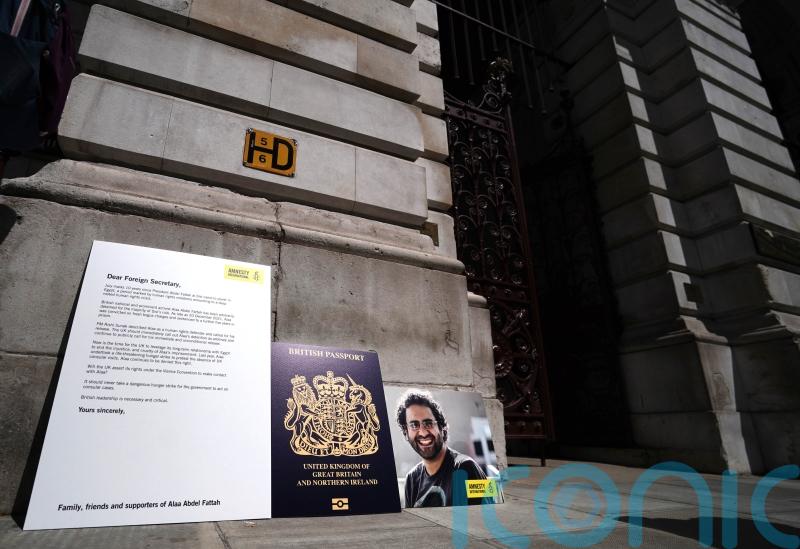 Family hope David Lammy’s Egypt visit can lead to release of jailed writer