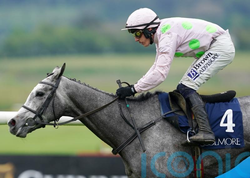 Lossiemouth heading to Leopardstown after swerving Constitution Hill rematch