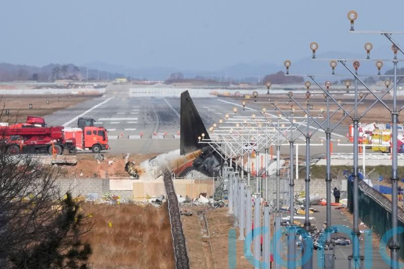 South Korean plane crash report says bird remains found in engines