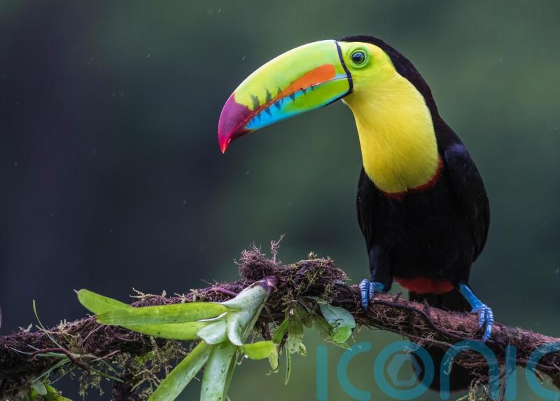 How I learned the secret to long life in Costa Rica’s ‘Blue Zone’
