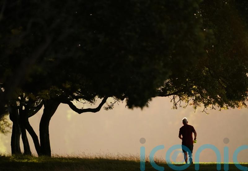 Exercise could lead to brain changes that help stave off dementia, study finds