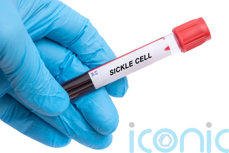 £1.65m gene-editing therapy offers hope of cure for some blood disorder patients