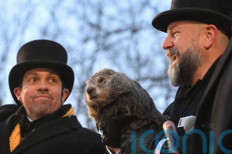 Punxsutawney Phil sees his shadow, meaning six more weeks of wintry weather