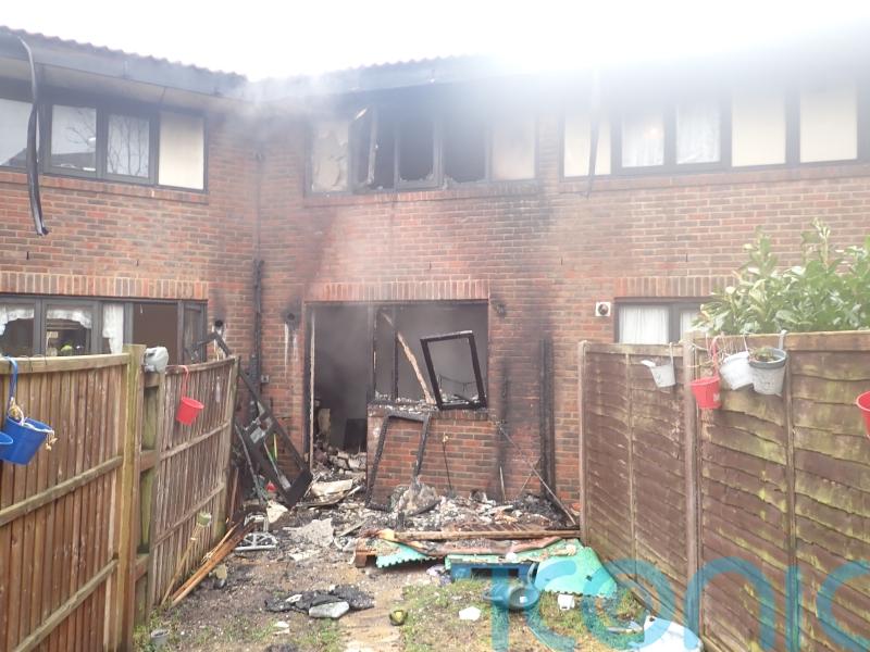Two dogs killed and two homes destroyed in separate e-bike and e-scooter fires