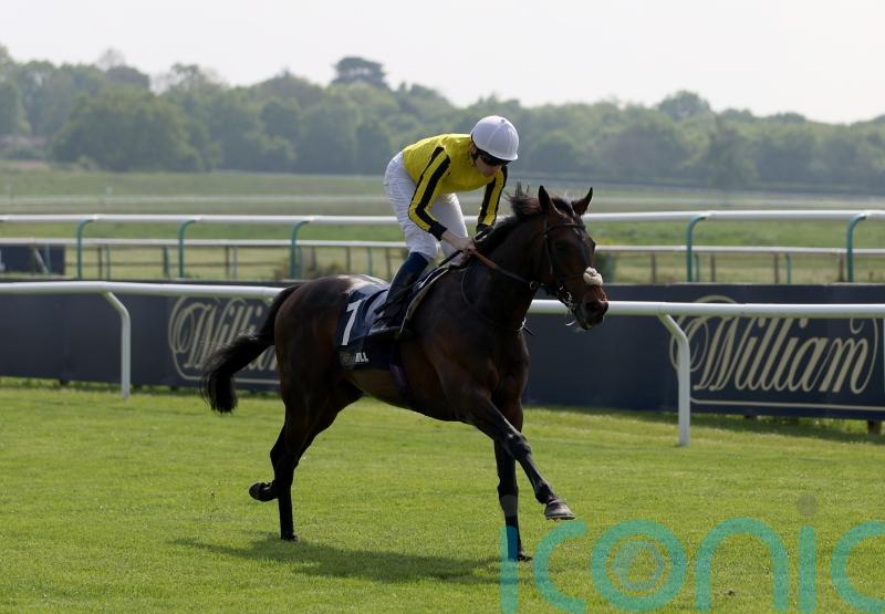 James Owen looking forward to some big days with Ambiente Friendly
