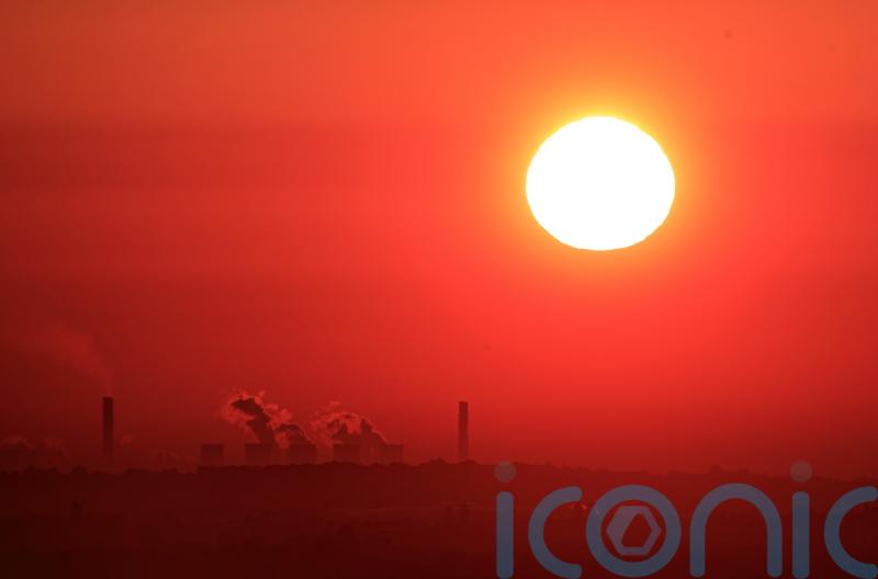 New subsidies for Drax that ‘halve’ payments for burning wood for power