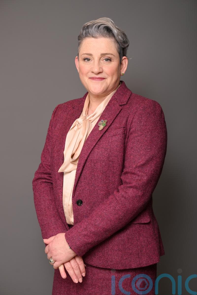 Ashley Dalton appointed health minister after Gwynne sacking