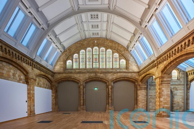 Natural History Museum’s first fixed gallery in years to explore ‘broken planet’