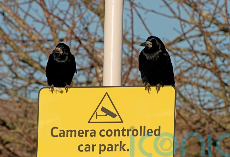 Parking firms pledge to stop punishing drivers who take too long to pay