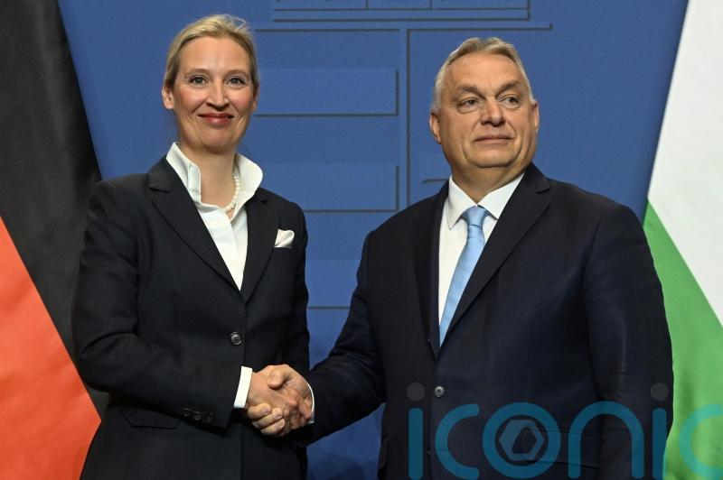 Hungary’s Orban calls AfD leader ‘the future of Germany’