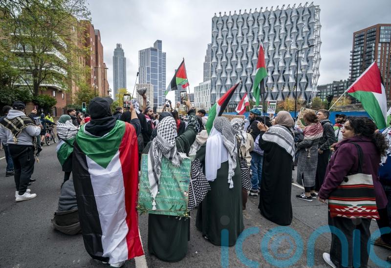 Nazi salute protester among eight arrested during pro-Palestine march