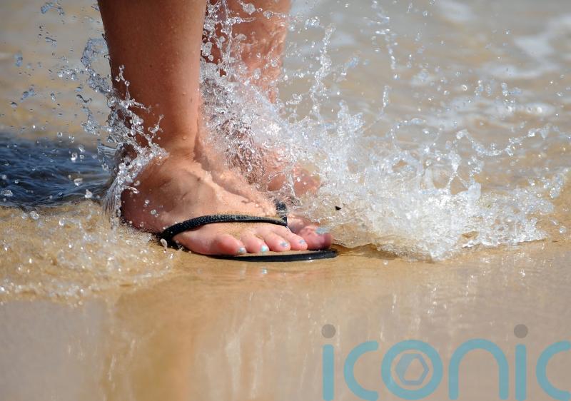 Holiday firms report surge in long-haul bookings