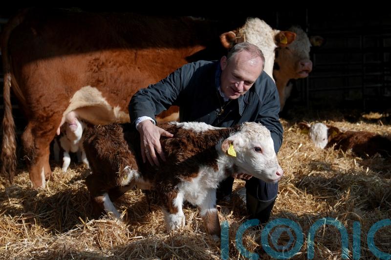 Davey mucks out and handles calves in latest stunt over farm inheritance tax
