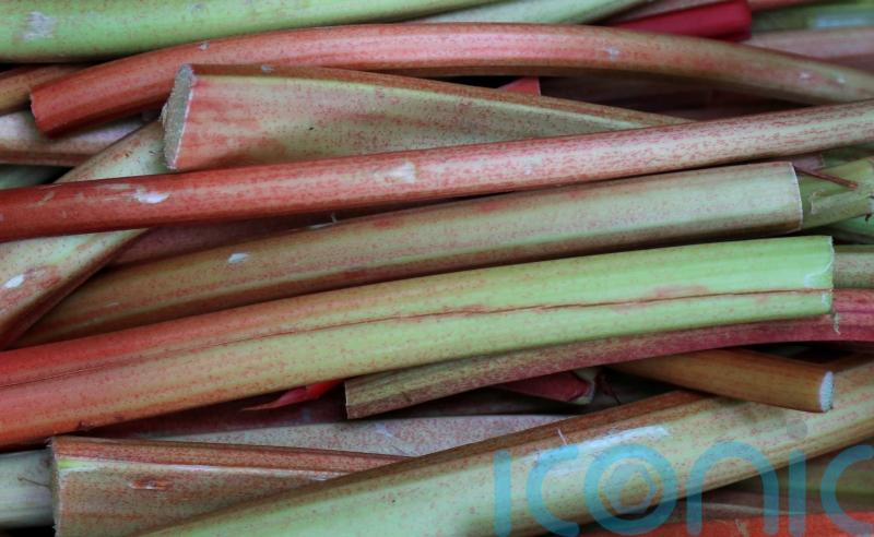 Supermarket reports surging demand for ‘flavour of the moment’ rhubarb