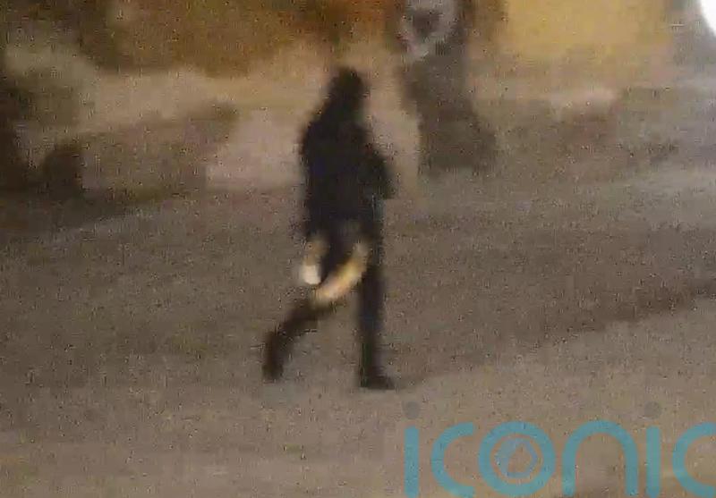 CCTV shows moment thieves roll £4.75m gold toilet out of palace