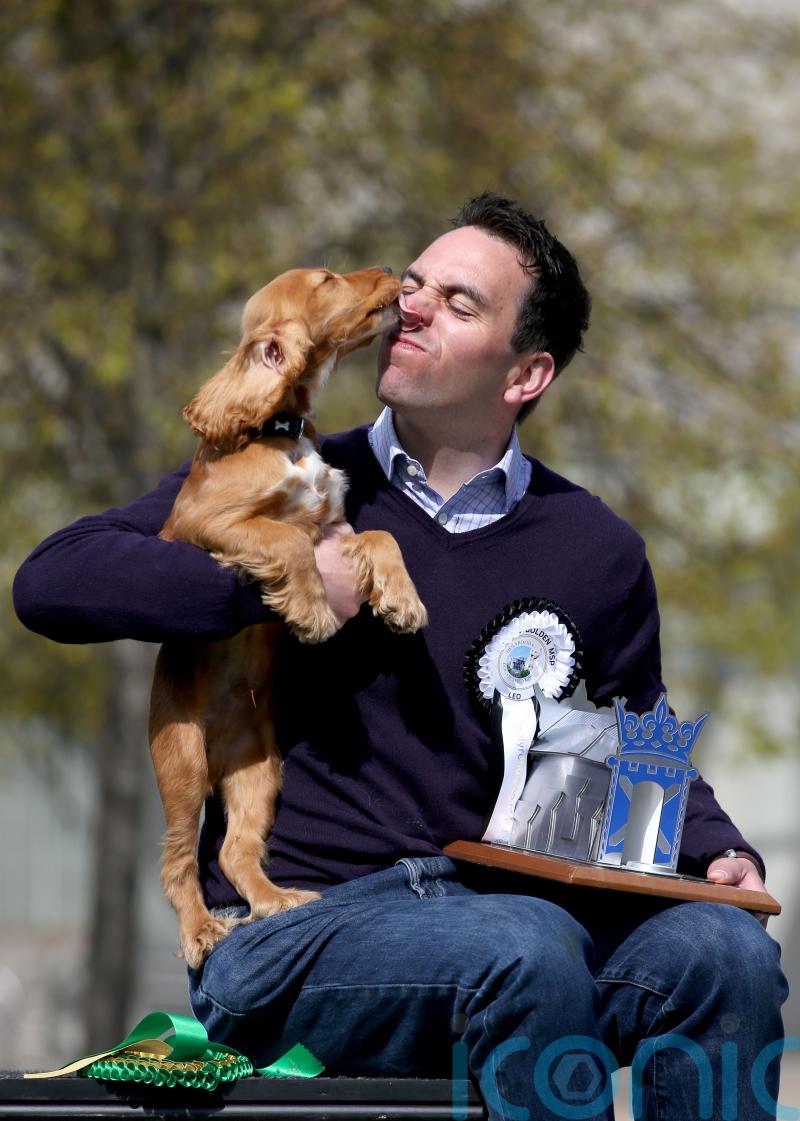 Tory MSP launches new Bill to ensure dog thieves are ‘dealt with severely’