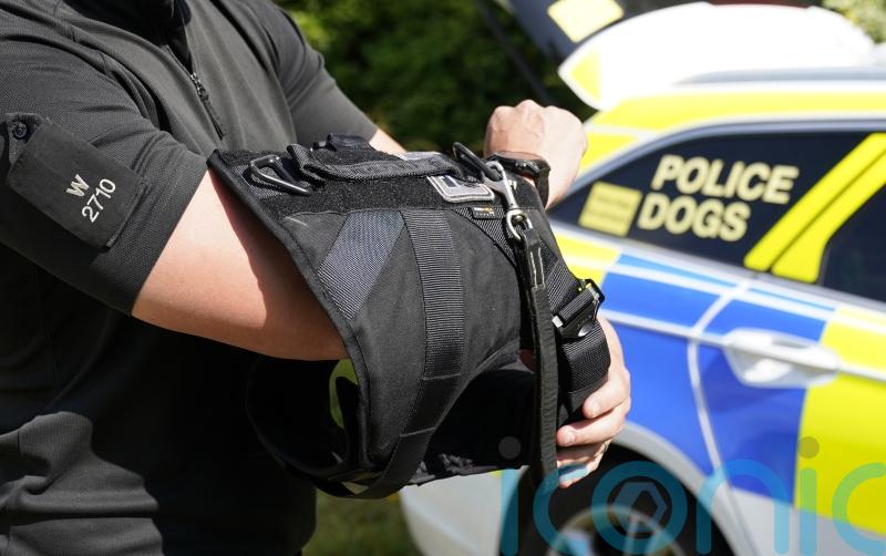 Man arrested after police dog injured in Aberdeen