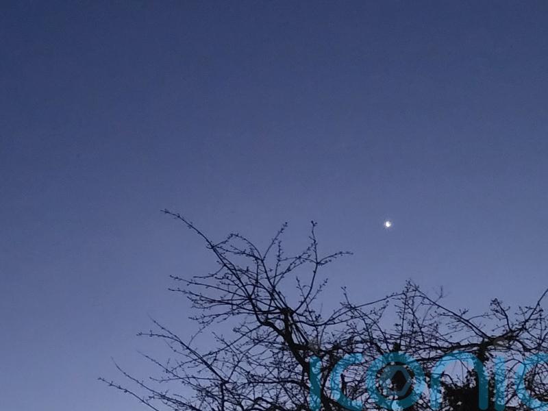 Stargazers treated to rare sight as seven planets align in UK skies