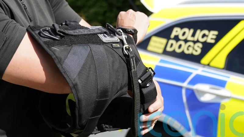 Man charged after police dog injured in Aberdeen incident