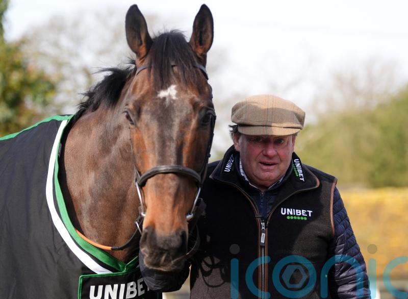 Smith Eccles backing Constitution Hill to regain his crown