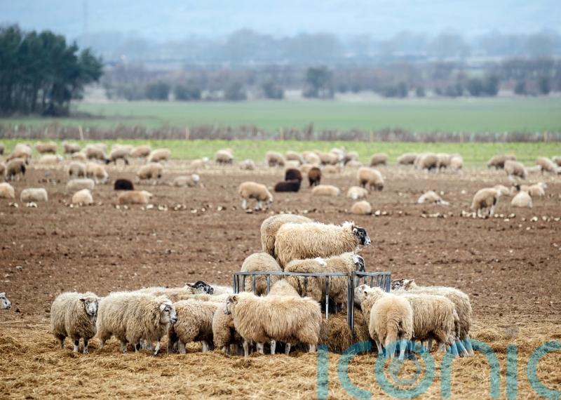 Farmers to gather in London for pancake day protest against inheritance tax