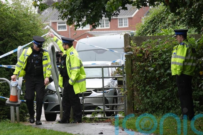 Park murder accused, 15, told witness he had anger issues, jury told