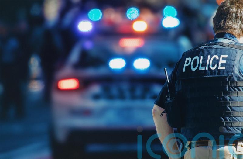 X-ray shows diamond earrings swallowed by theft suspect during arrest – police