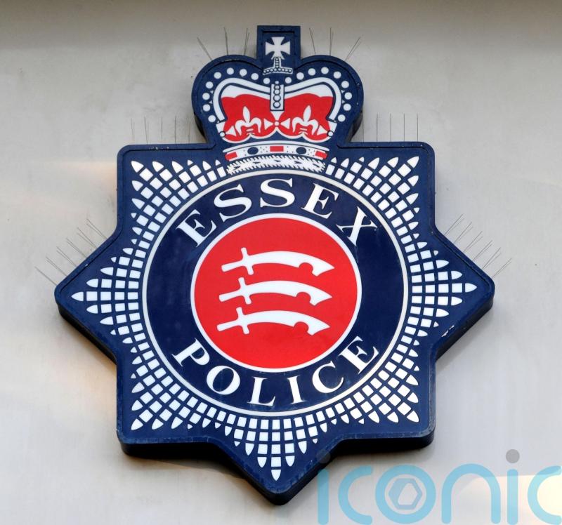 Police ‘acted reasonably’ in Allison Pearson ‘hate crime’ case, report finds