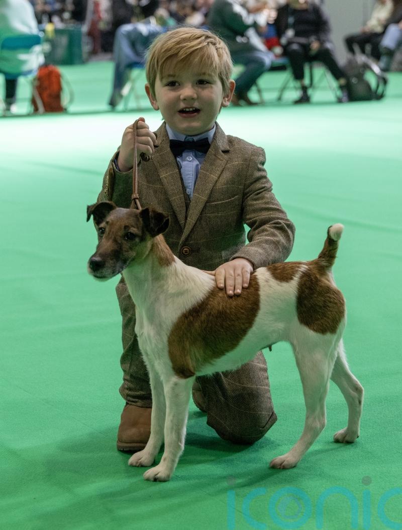 Six-year-old boy makes history as one of Crufts&rsquo; youngest ever winners