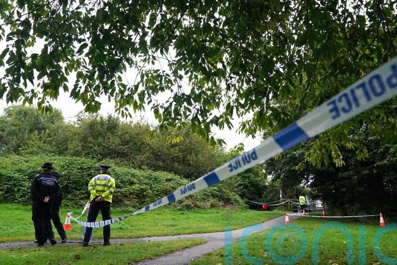 Boy accused of pensioner’s murder ‘fell on him as he ran to push him over’
