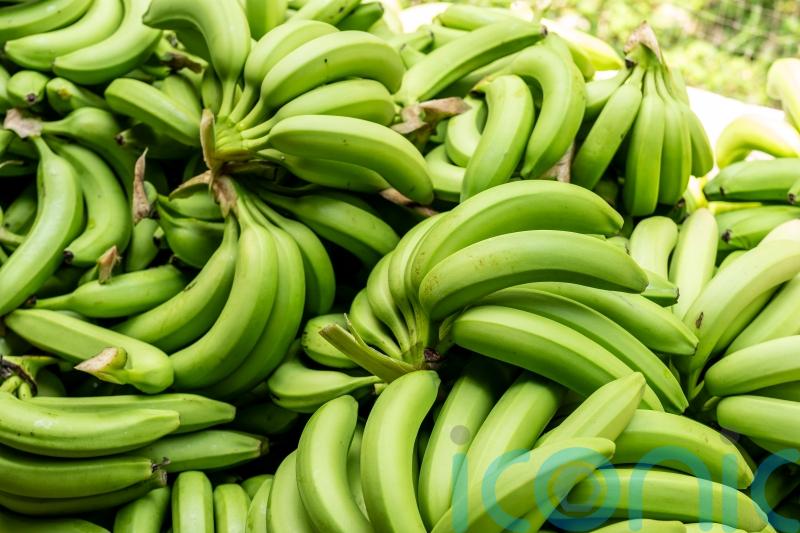 Banana supplies to return to normal after shoppers complain of empty shelves