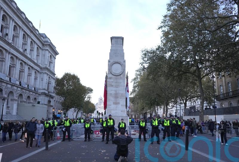 Cenotaph protest offence comes ‘at expense’ of other proposed crimes, MP warns