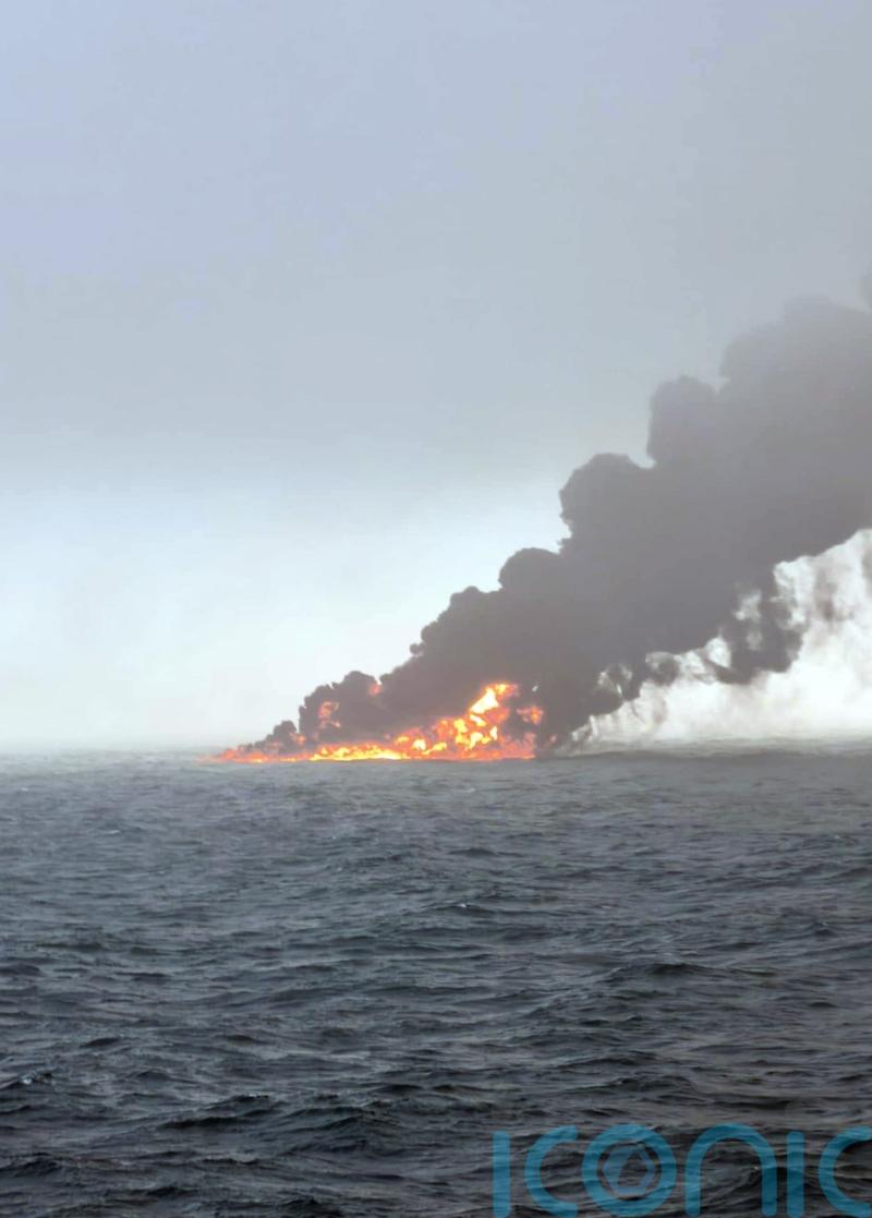 Birds and seals at risk from North Sea crash, charity says