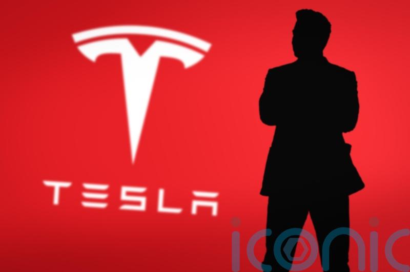 Trump pledges to buy ‘brand new Tesla’ in support of Musk