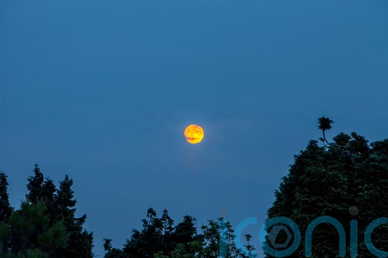 UK set for &lsquo;blood moon&rsquo; partial lunar eclipse later this week