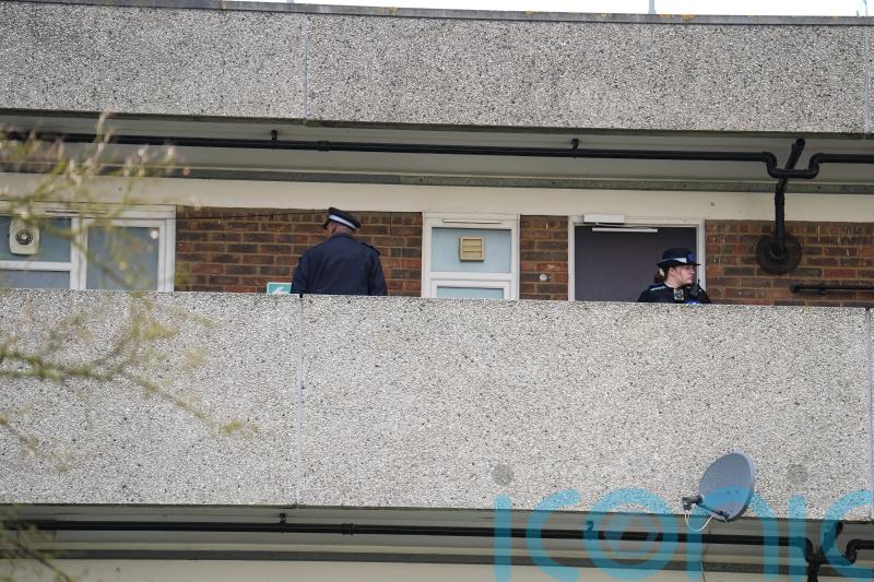 Police investigating deaths of ‘brother and sister’ in south-east London
