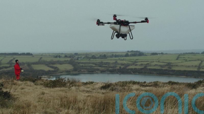 Drones used to sow tree seeds in scheme to restore lost South West rainforests