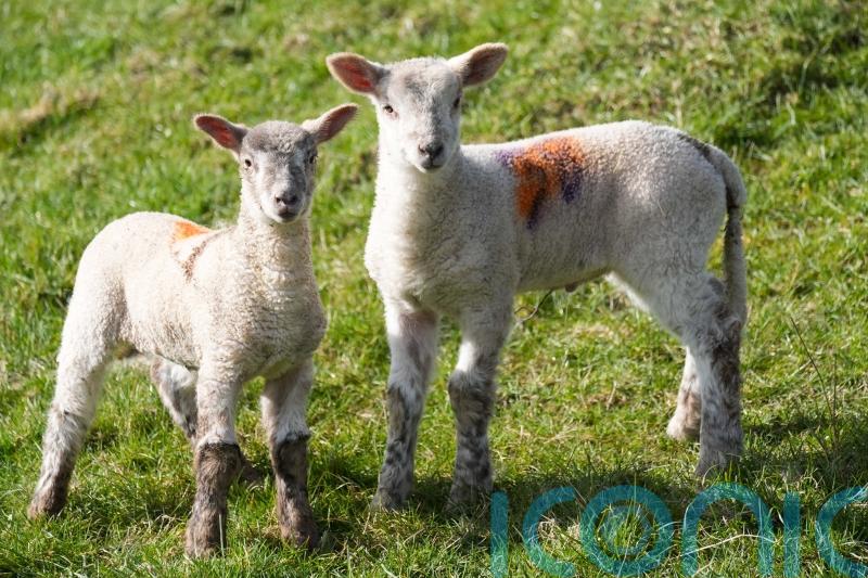 Parts of UK set to be hotter than Ibiza and Corfu next week for start of spring