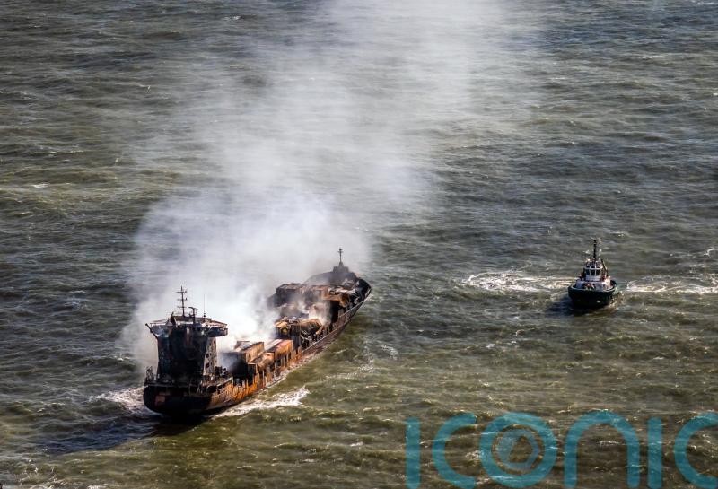 ‘Deep concern’ for wildlife after pellets wash up following two-ship collision