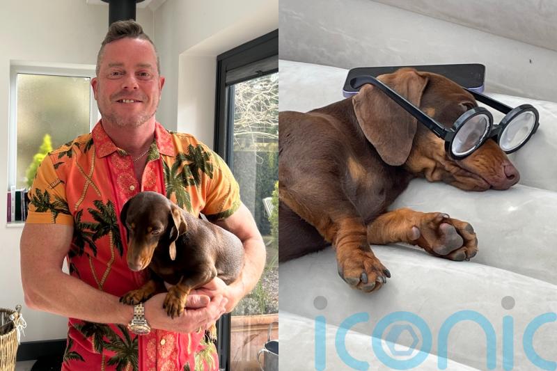 I’m not Ace Ventura, says UK pet detective who’s solved hundreds of cases including dog taken as collateral by landlord