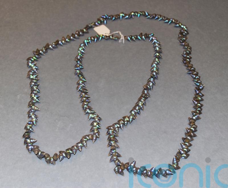 Scottish university returns rare Tasmanian shell necklace