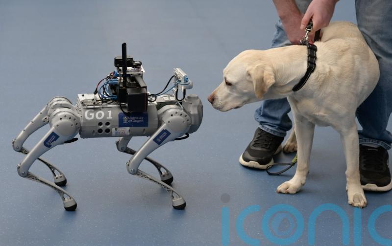 Robot dog developed to support blind and visually impaired