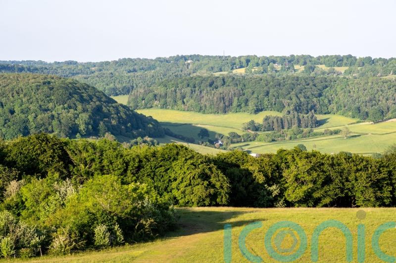 New ‘national forest’ plans for west of England unveiled