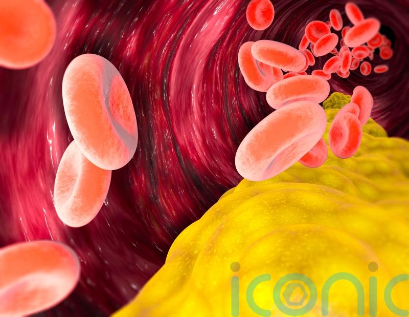 The truth about cholesterol – what you need to know