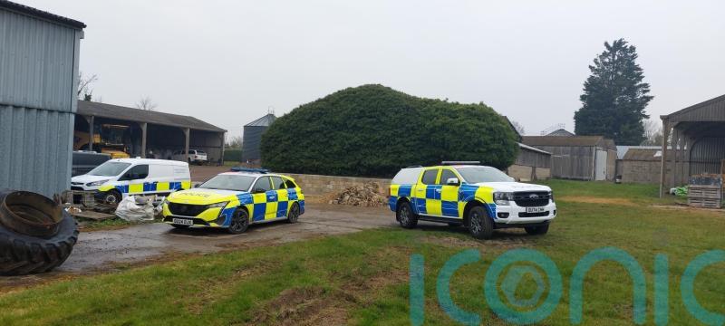 Police appeal after four alpacas and sheep shot dead