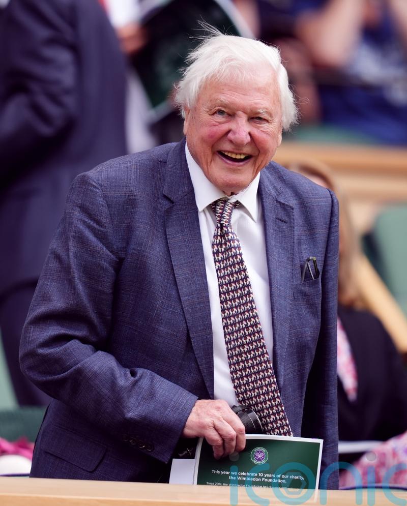 New David Attenborough and Freddie Flintoff shows to air on Disney+ in 2025